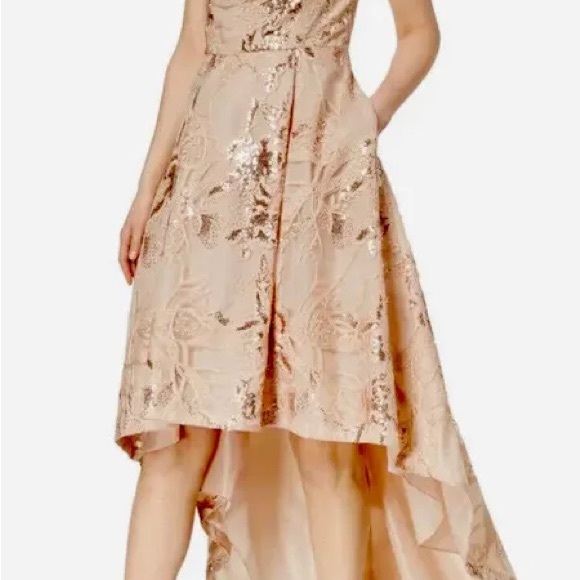 Calvin Klein Sleeveless High Low Gown - Picture 3 of 8